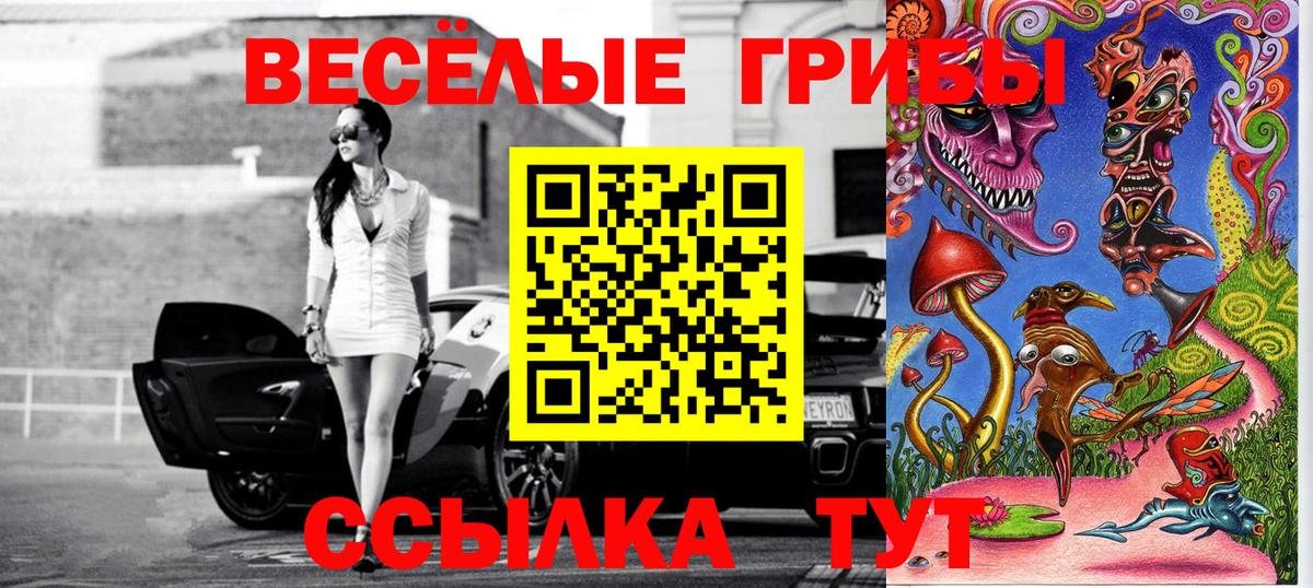 купить наркотики сайты  Псилоцибиновые грибы мицелий  Вход с VPN  Псилоцибиновые грибы Psilocybine cubensis  Нурлат 